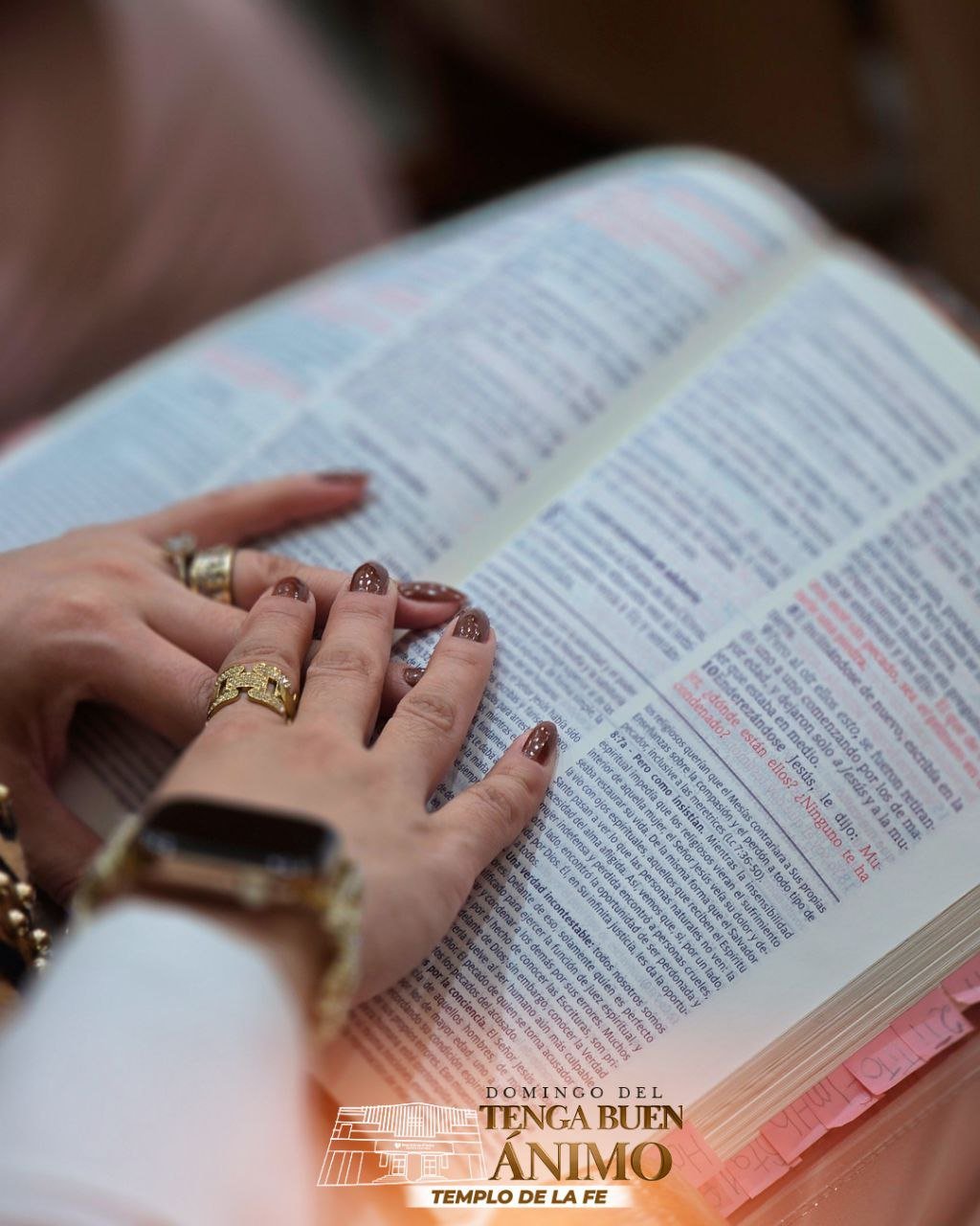 photo_2026-01-11_14-21-16-2