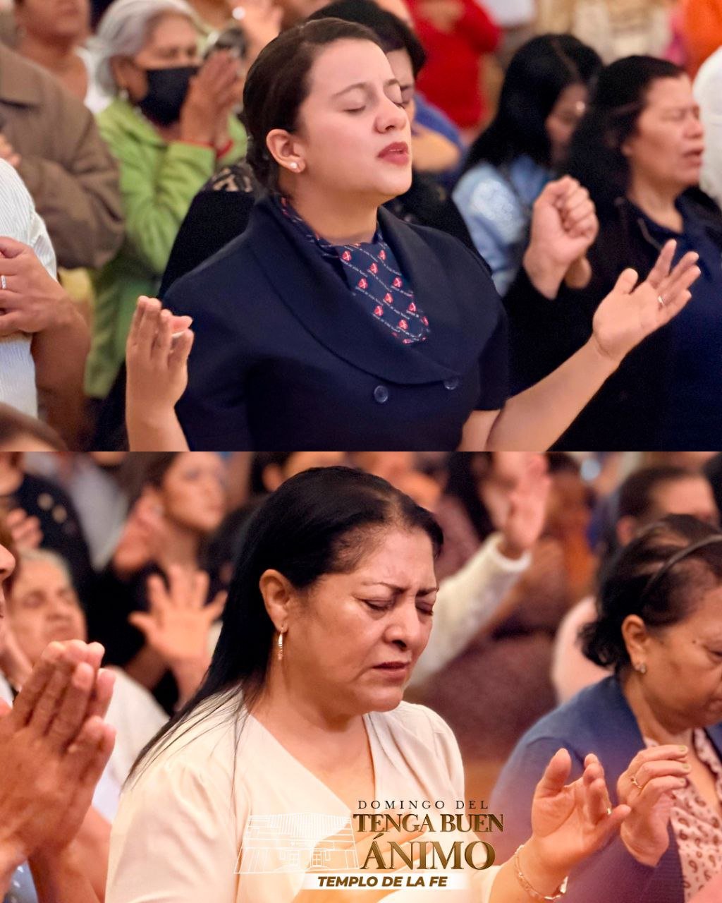 photo_2026-01-11_14-21-18