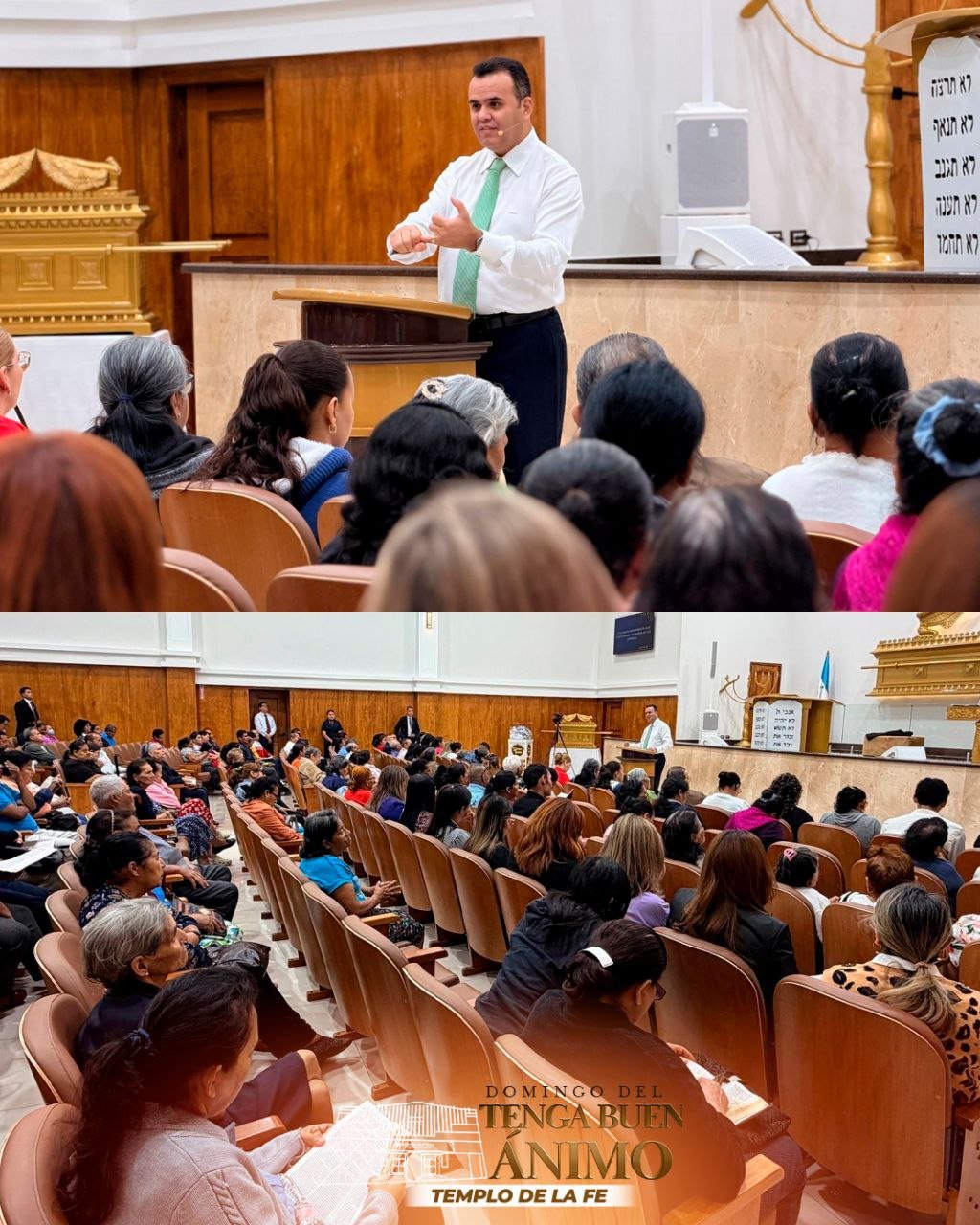 photo_2026-01-11_14-21-19