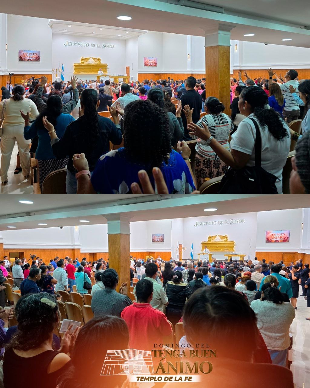 photo_2026-01-11_14-21-20