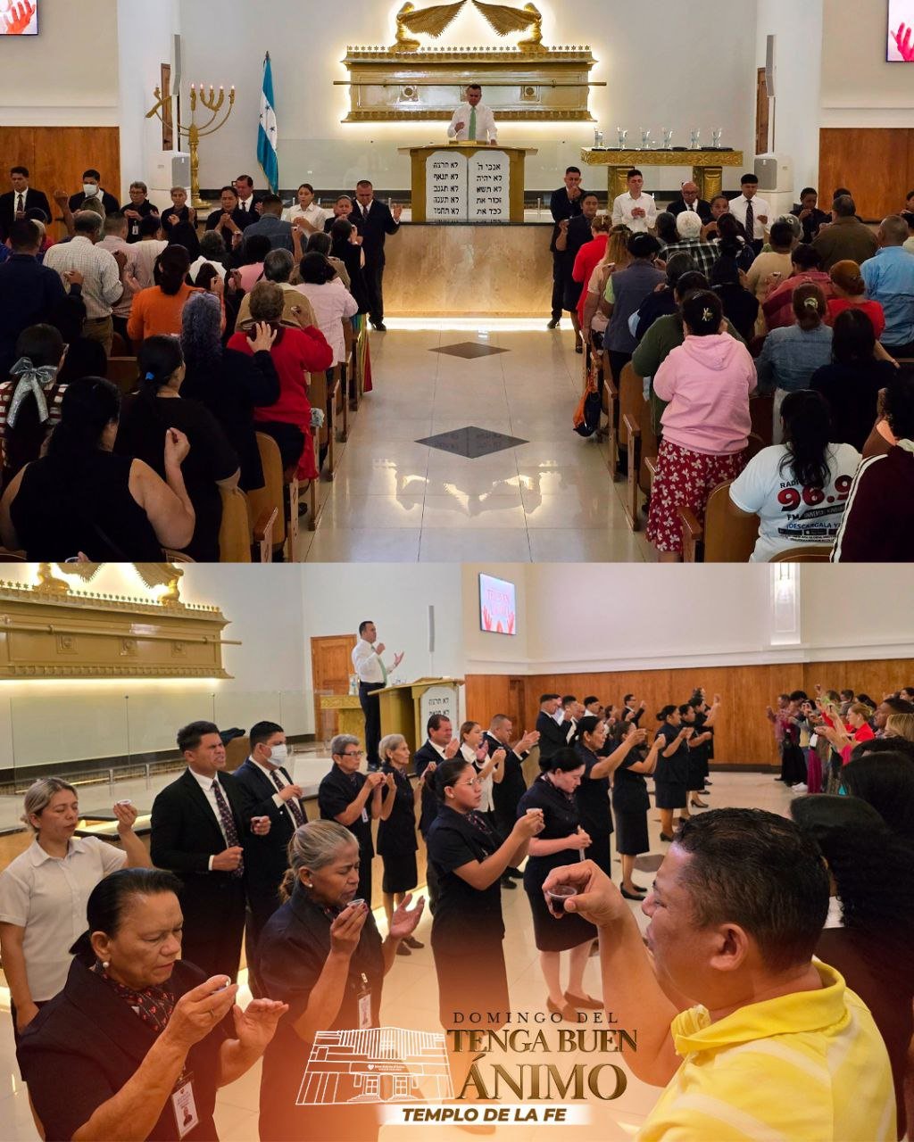 photo_2026-01-11_14-21-21