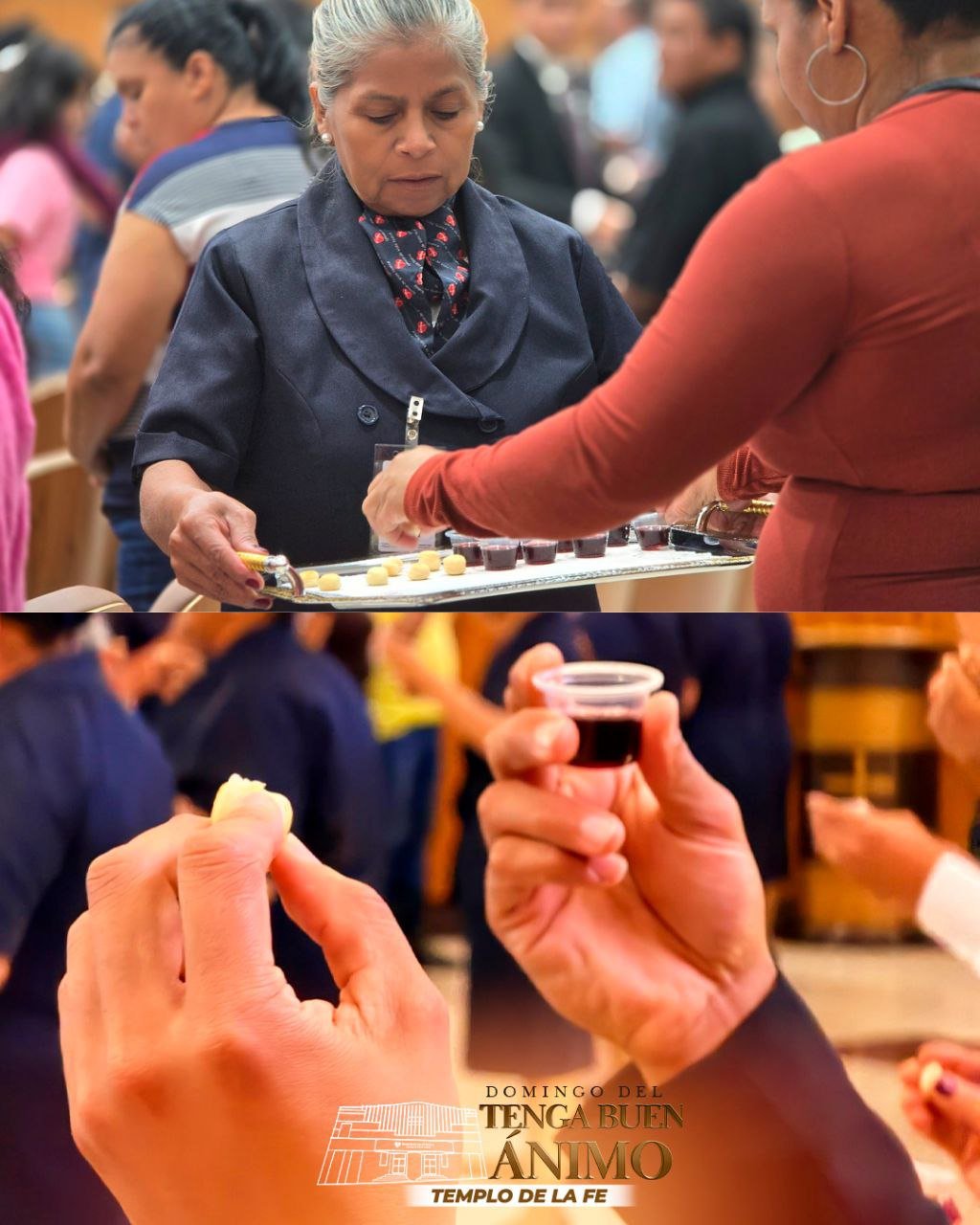 photo_2026-01-11_14-21-23