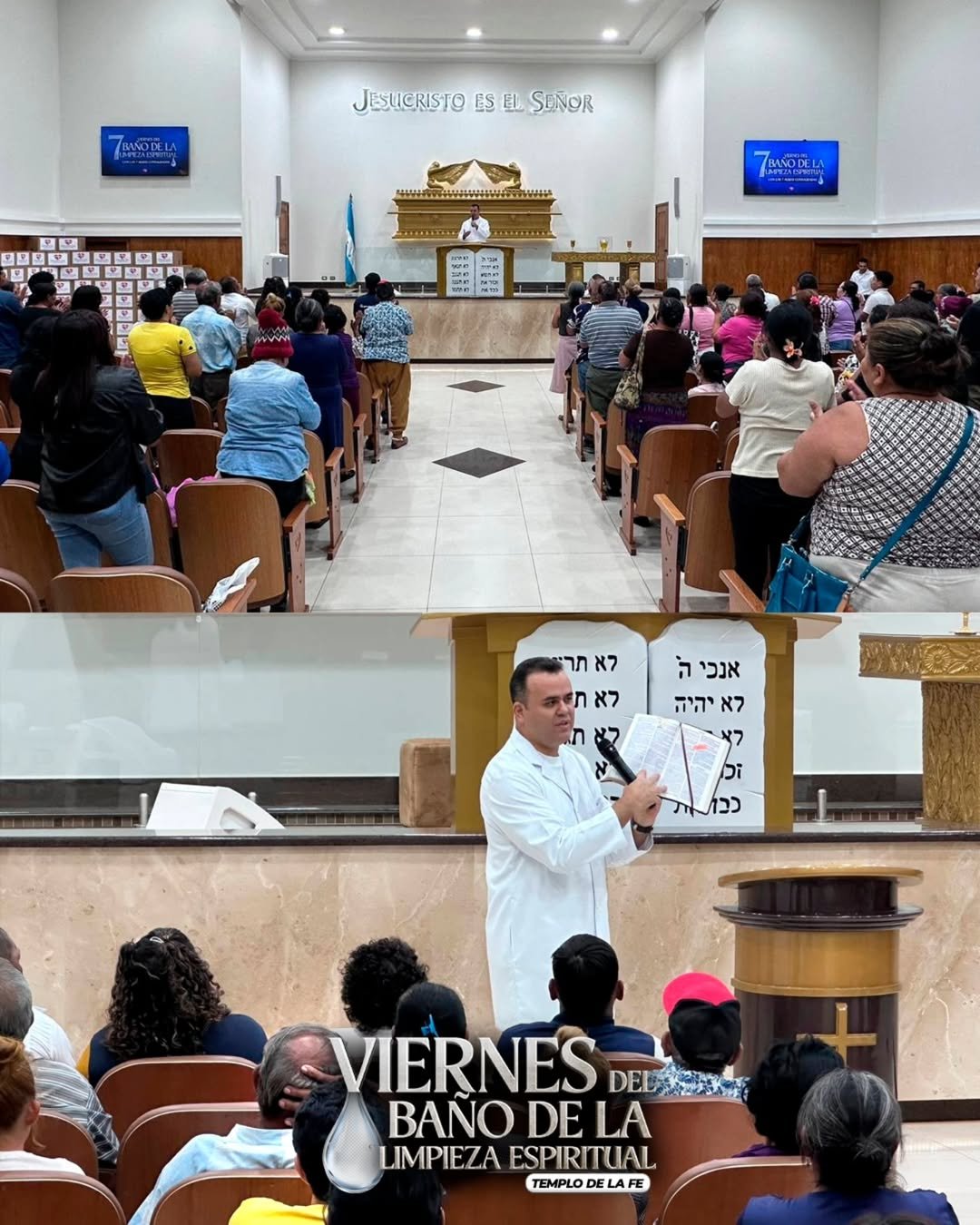 SaveClip.App_624250879_17977935011972920_6974498269672161187_n