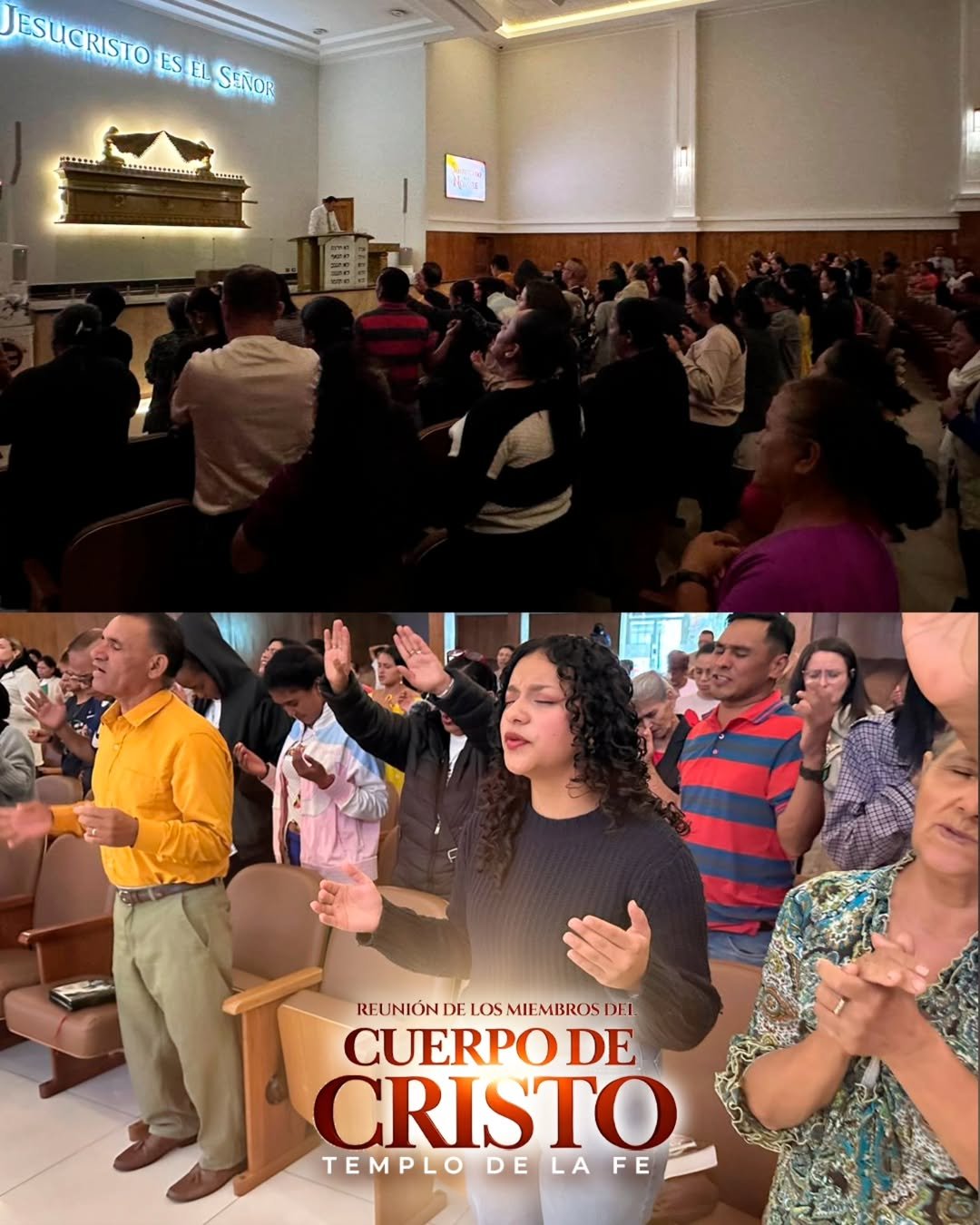 SaveClip.App_624538832_17977723022972920_899701642988361460_n