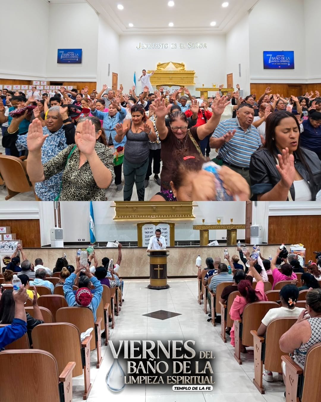 SaveClip.App_624957075_17977935074972920_4876003754014273053_n