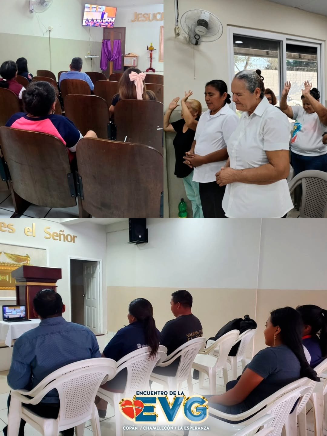 SaveClip.App_640155316_17980413215972920_3345925917379775108_n