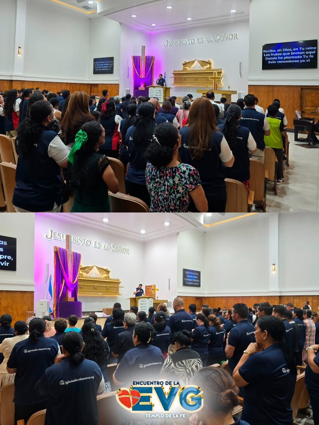 SaveClip.App_641110880_17980413077972920_1616668676022634881_n